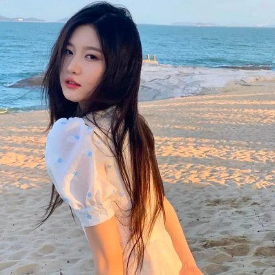 公主复仇者